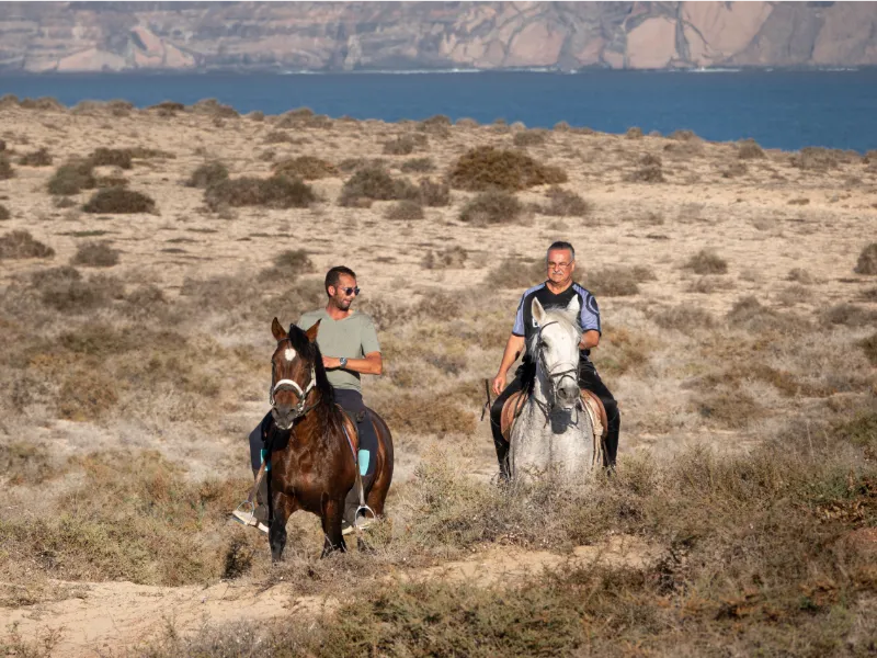 horse rideing lanzarote